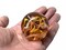 FIREFLY Toe Breaker 50mm (2") Orange/Yellow Marbles glass ball